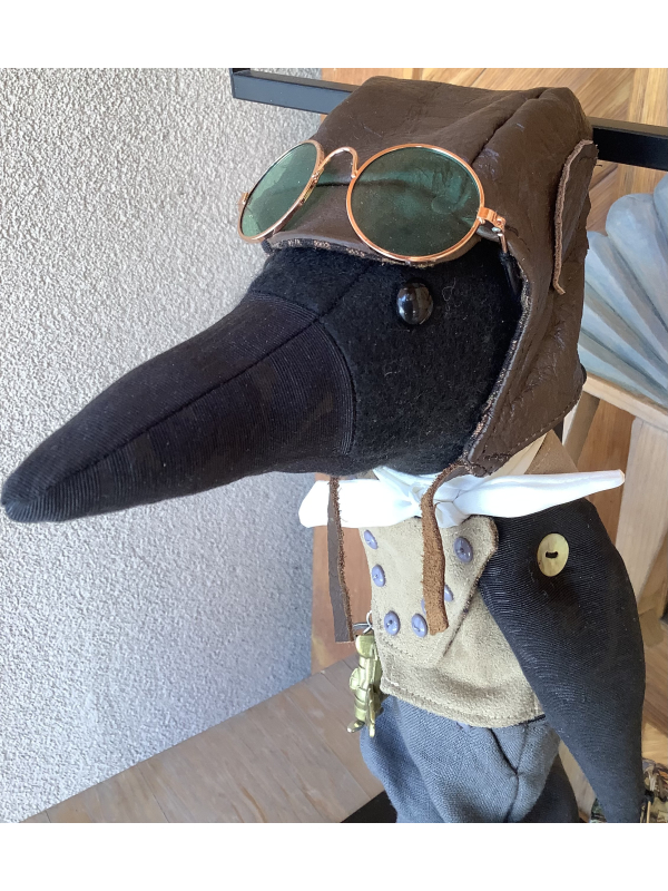 Reginald Raven Flys a 1930’s Campbell Propeller Plane by Karen Rivera