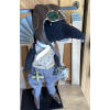 Reginald Raven Flys a 1930’s Campbell Propeller Plane by Karen Rivera