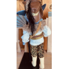 D'Artagnan the Fourth Musketeer( in Wolfe’s Clothing)