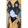 Tuxedo Cat Goes Fishing in the Vallecitos River by Karen Rivera